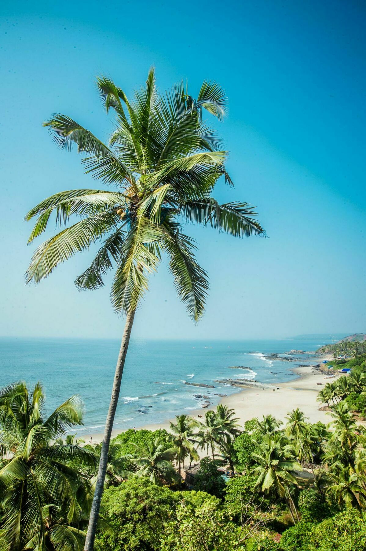 Aria Beach Resort Vagator Ngoại thất bức ảnh